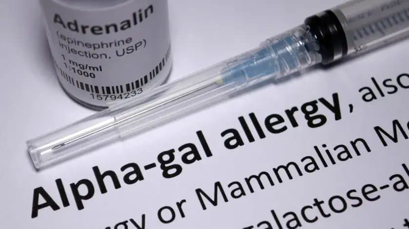 A vial of Adrenalin (epinephrine injection, USP, 1 mg/ml) and a syringe resting on a printed page with bold text reading Alpha-gal allergy, also referenced as Mammalian Meat Allergy and galactose-alpha, illustrating the emergency-preparedness materials Alpha-Gal Syndrome patients carry to manage potential anaphylactic reactions to hidden mammalian-derived medications and products