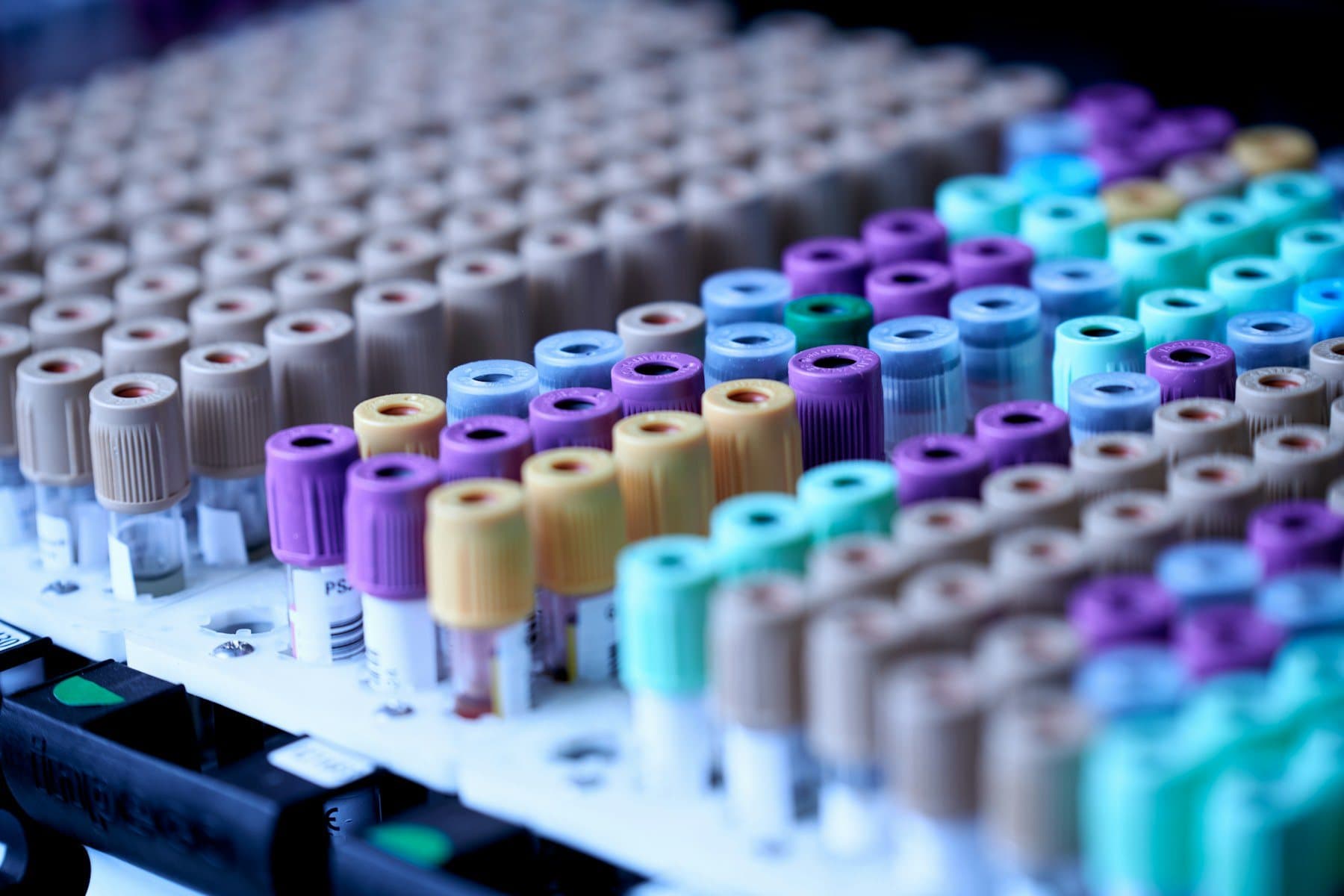 Rows of blood collection tubes with purple, gold, teal and tan caps standing in a laboratory rack.